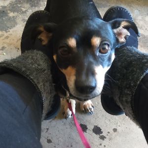 Meet your Posher, Lisa